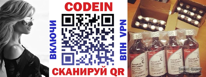 Купить где  Петровск  Кодеин Purple Drank 