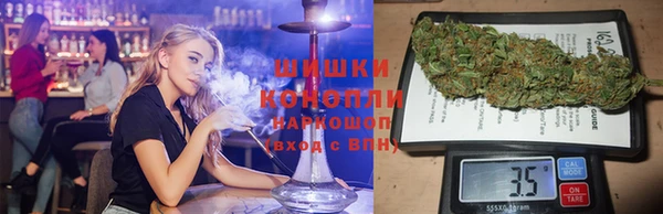 МДПВ Дмитриев