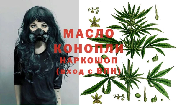 МДПВ Дмитриев