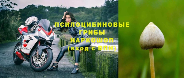 МДПВ Дмитриев