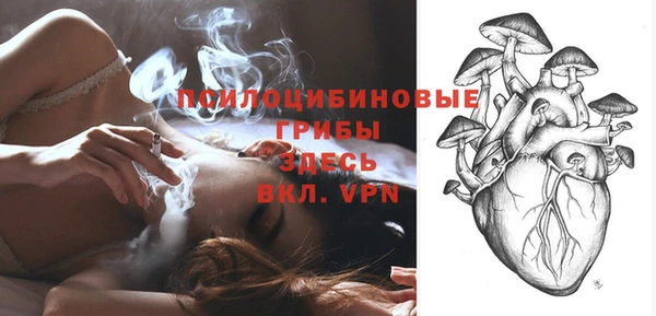 МДПВ Дмитриев